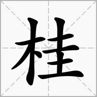 桂意思|桂的意思